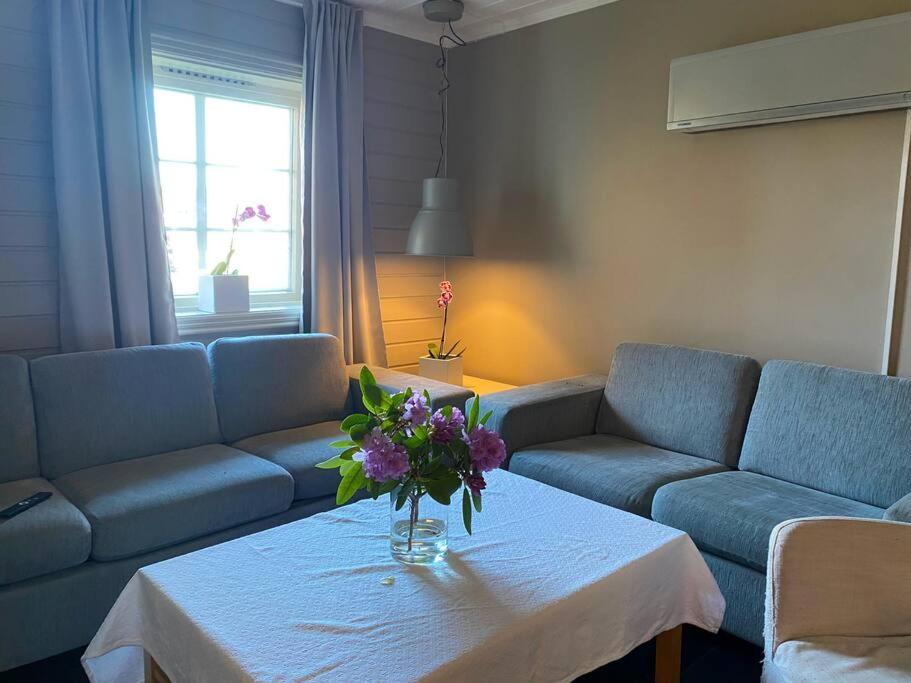 Cosy And Well-Equipped Apartment With Free Parking Trondheim Dış mekan fotoğraf