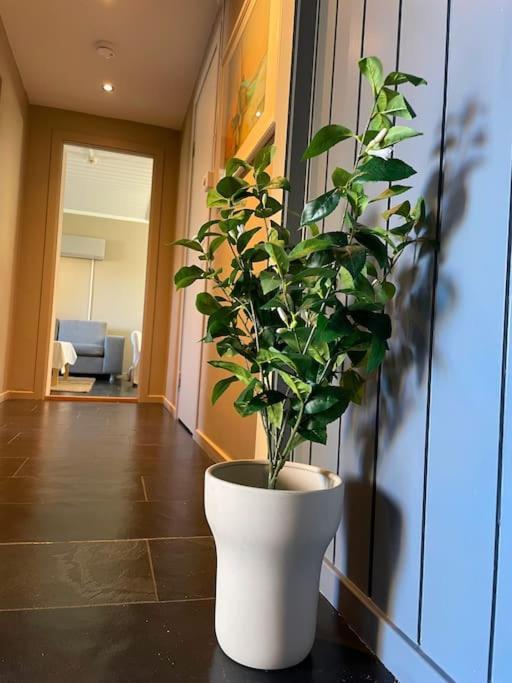 Cosy And Well-Equipped Apartment With Free Parking Trondheim Dış mekan fotoğraf